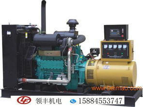攀枝花300kw柴油发电机组报价 成都发电机组厂家 成都发电机组批发 领丰供,攀枝花300kw柴油发电机组报价 成都发电机组厂家 成都发电机组批发 领丰供生产厂家,攀枝花